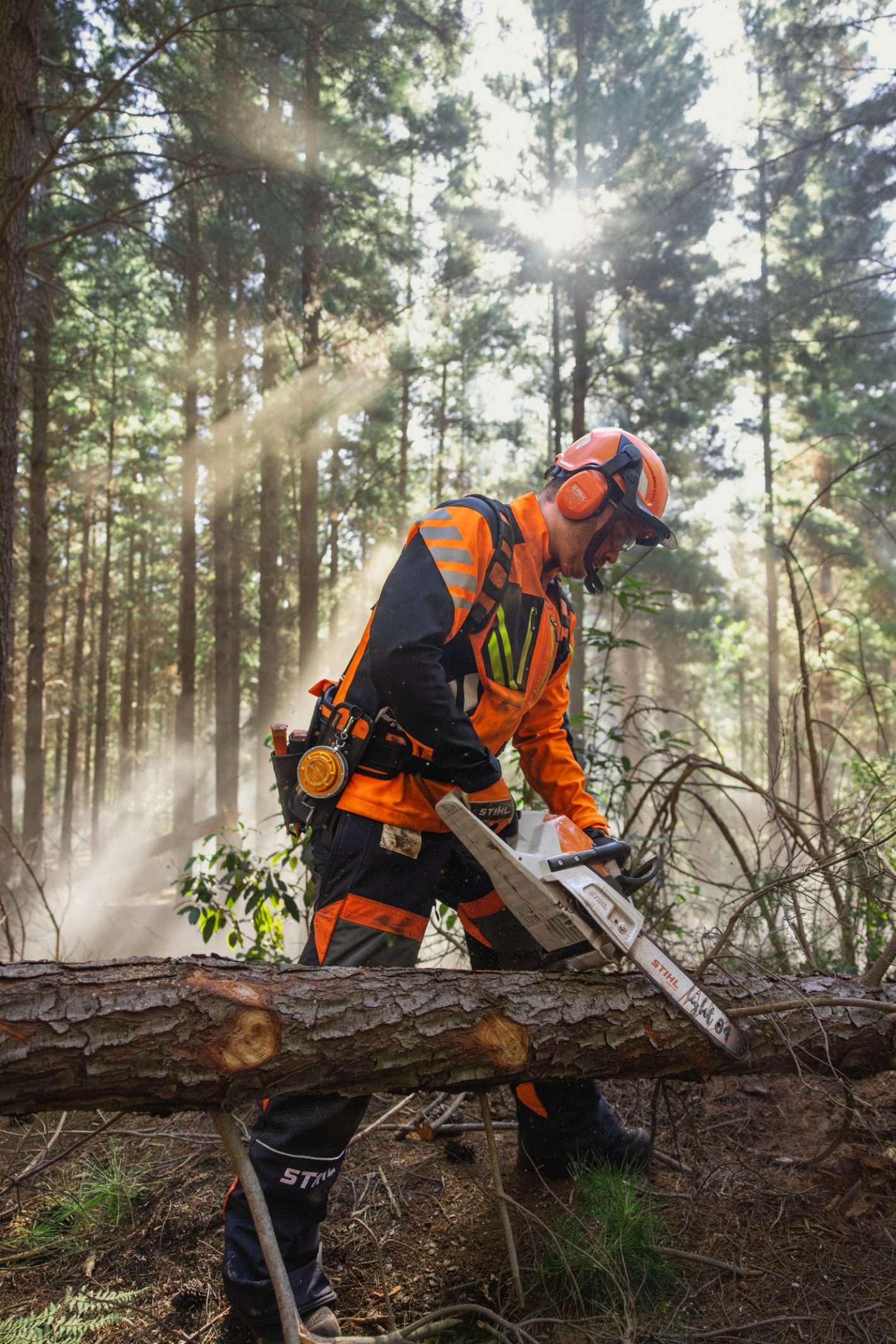 STIHL MSA 260 C-O Akku-Kettensäge 40 cm im professionellen Einsatz