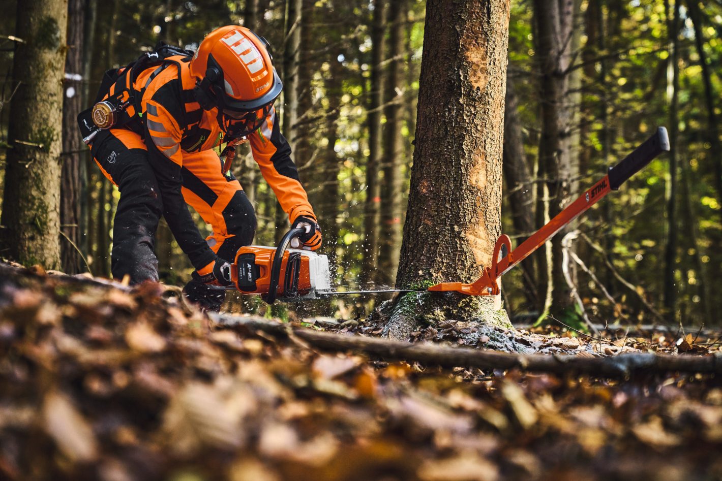 STIHL MSA 260 C-O 40 cm Akku-Kettensäge Detailansicht