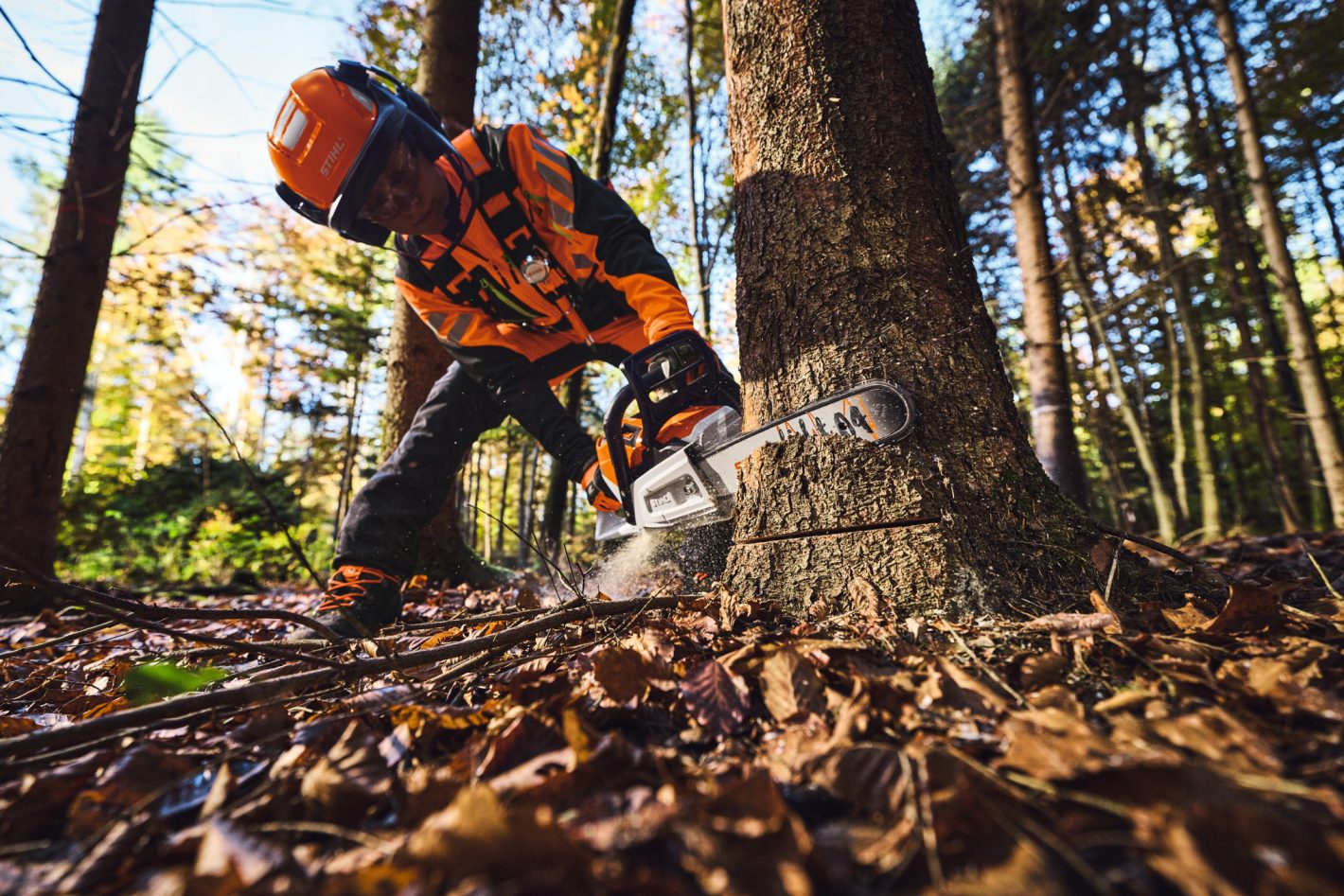 STIHL MSA 260 40 cm professionelle Akku-Motorsäge bei Sägearbeiten