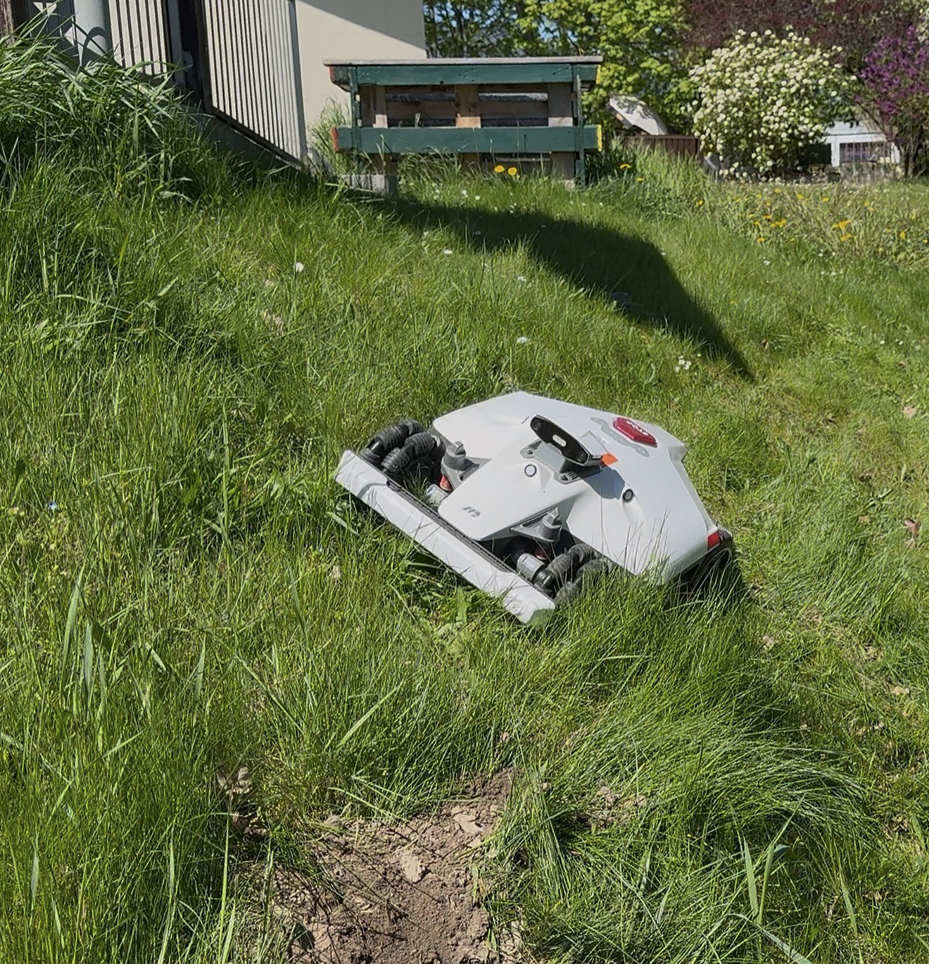 Mammotion Mähroboter in einem realen Kundengarten