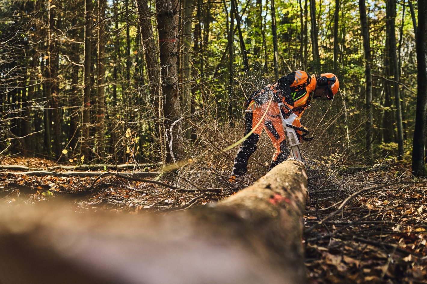 STIHL MSA 260 C-O 40 cm Motorsäge für Forst Landschaftsbau und Kommunen